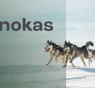 Innokas Medical Rebrands as Innokas – Paving the Way for Growth and Innovation